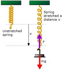 A Simple Explanation Of The Spring Constant Saint Mary S Physics Demos