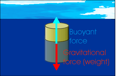 Archimedes Principle Demonstration - Saint Mary's Physics Demos