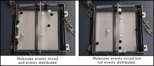 Diffusion Demo