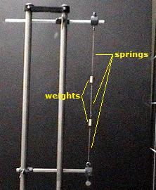 Coupled Oscillator Apparatus